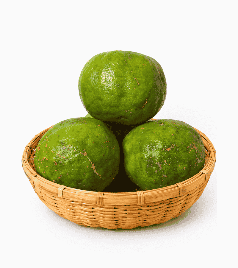 Satkora
